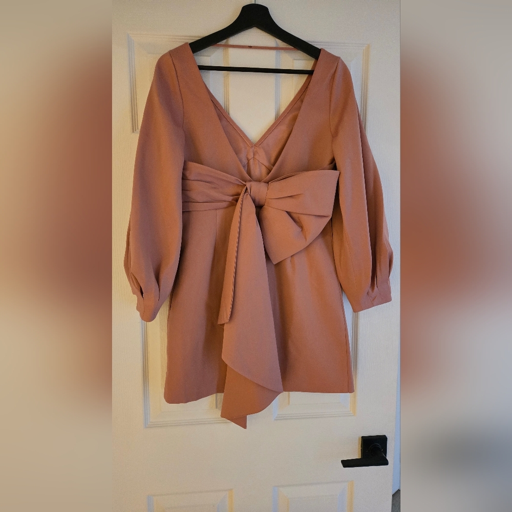 NWT Evernew Sandra Satin Bow Detail Dress